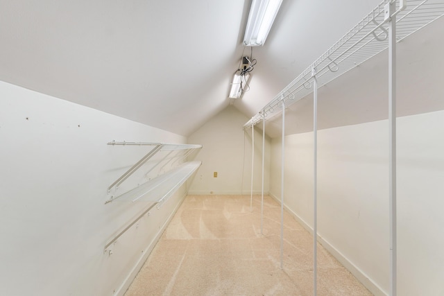 spacious closet featuring lofted ceiling and carpet flooring