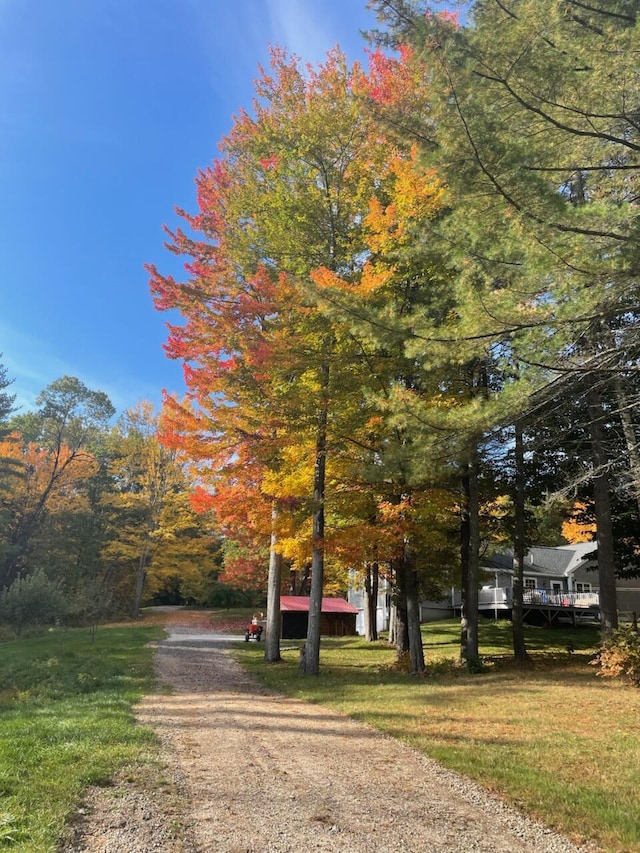 view of road featuring gravel driveway