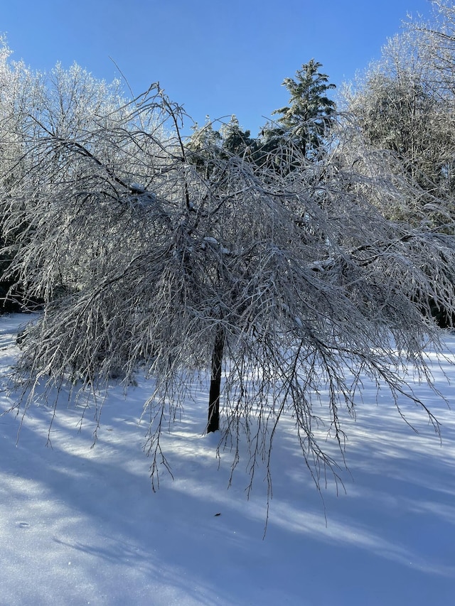 view of nature