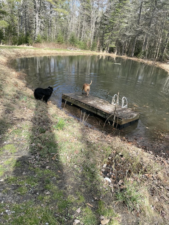 dock area with a wooded view and a water view