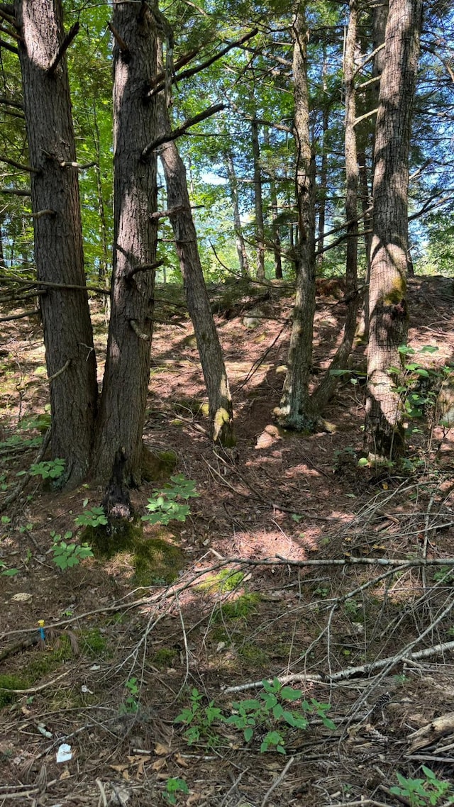 Listing photo 2 for LOT2 Coffin Hill Rd, Limerick ME 04048