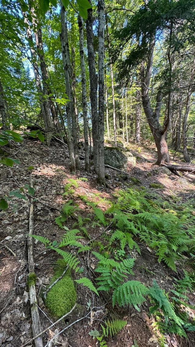 Listing photo 3 for LOT2 Coffin Hill Rd, Limerick ME 04048