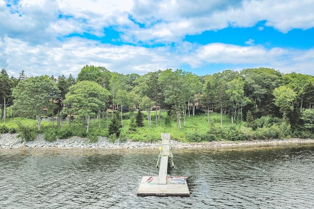 view of water feature with a dock