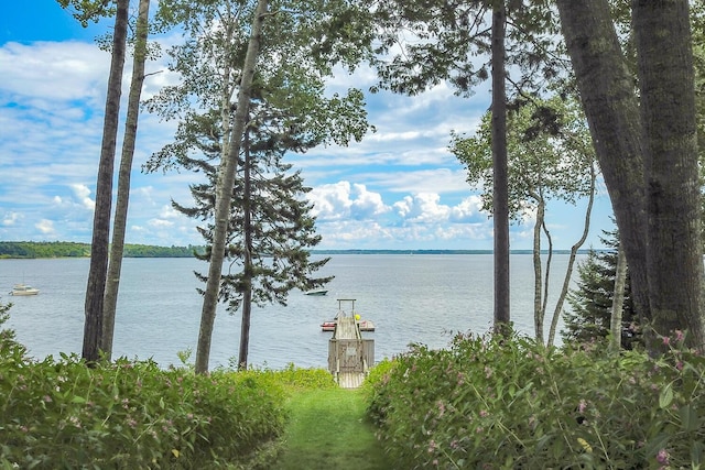 view of water feature