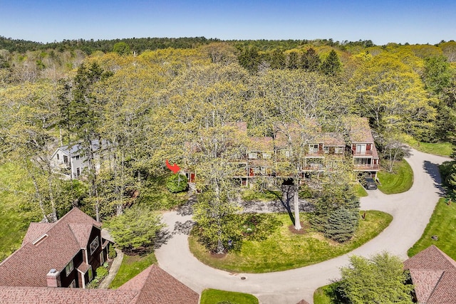 40 Harbor Dr Unit 40, Lincolnville, ME 04849 - photo 44