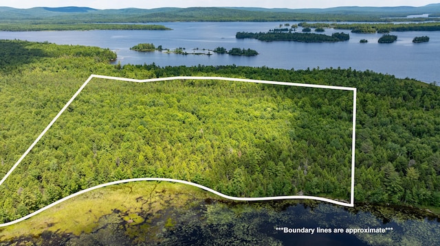LOT12 Boyce Cove Rd, Lakeville, ME 04487 - photo 1