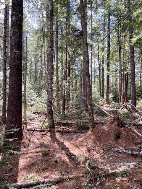 LOT12 Boyce Cove Rd, Lakeville, ME 04487 - photo 5