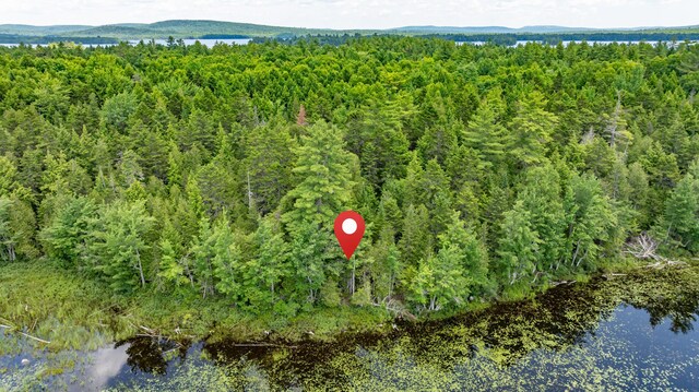 LOT12 Boyce Cove Rd, Lakeville, ME 04487 - photo 7