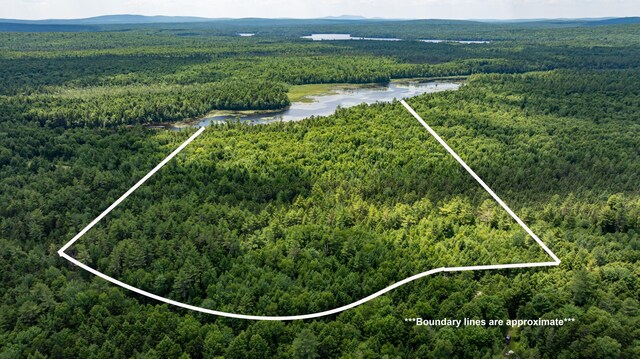 LOT12 Boyce Cove Rd, Lakeville, ME 04487 - photo 8