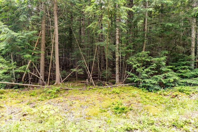LOT12 Boyce Cove Rd, Lakeville, ME 04487 - photo 9