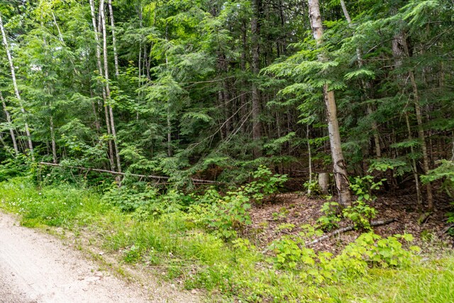 LOT12 Boyce Cove Rd, Lakeville, ME 04487 - photo 10