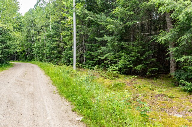 LOT12 Boyce Cove Rd, Lakeville, ME 04487 - photo 11