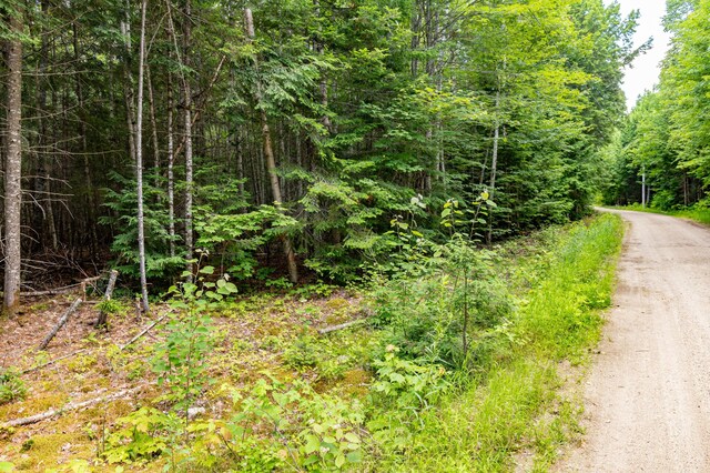 LOT12 Boyce Cove Rd, Lakeville, ME 04487 - photo 12