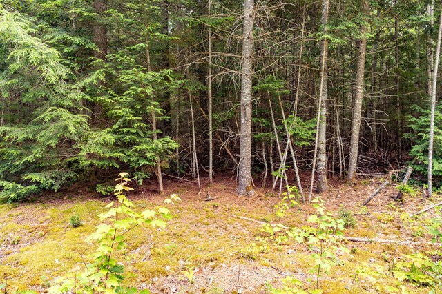 LOT12 Boyce Cove Rd, Lakeville, ME 04487 - photo 13