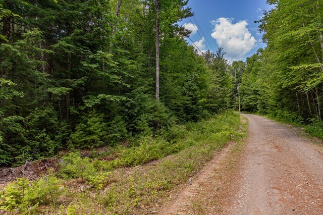 LOT12 Boyce Cove Rd, Lakeville, ME 04487 - photo 14