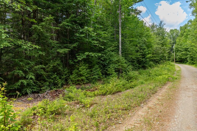LOT12 Boyce Cove Rd, Lakeville, ME 04487 - photo 15