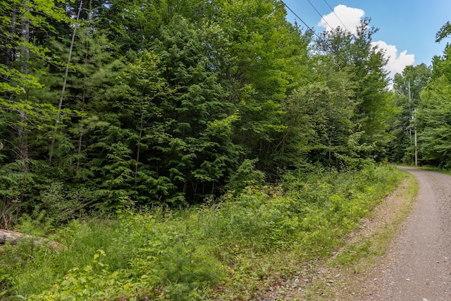 LOT12 Boyce Cove Rd, Lakeville, ME 04487 - photo 16