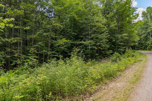 LOT12 Boyce Cove Rd, Lakeville, ME 04487 - photo 17