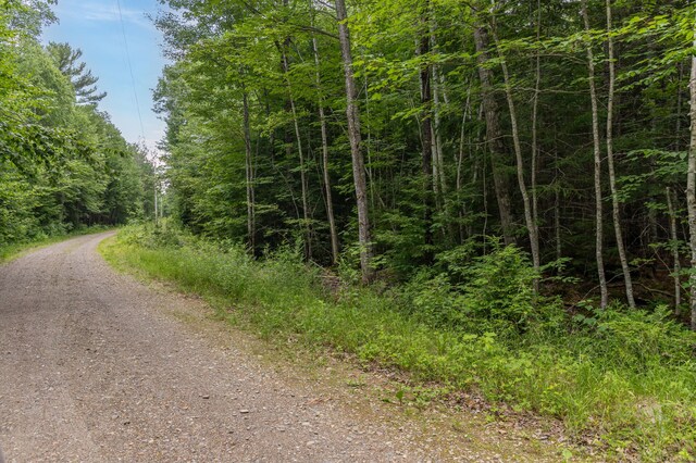 LOT12 Boyce Cove Rd, Lakeville, ME 04487 - photo 18
