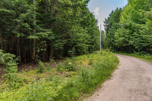 LOT12 Boyce Cove Rd, Lakeville, ME 04487 - photo 19