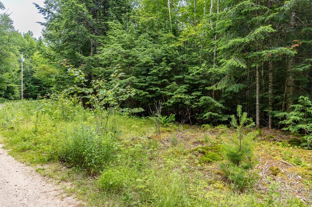 LOT12 Boyce Cove Rd, Lakeville, ME 04487 - photo 20