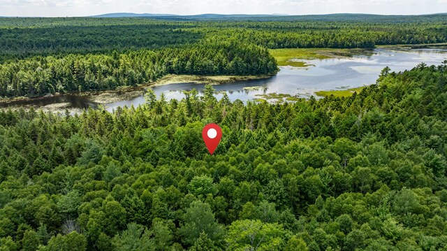 LOT12 Boyce Cove Rd, Lakeville, ME 04487 - photo 21