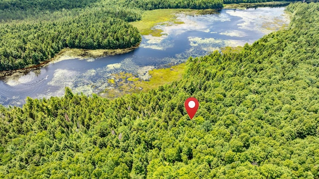 LOT12 Boyce Cove Rd, Lakeville, ME 04487 - photo 23