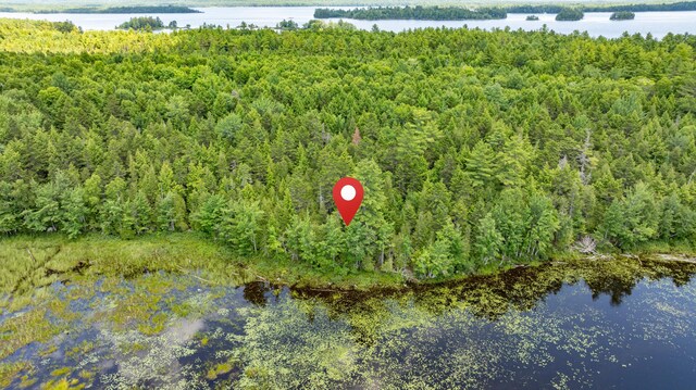 LOT12 Boyce Cove Rd, Lakeville, ME 04487 - photo 24
