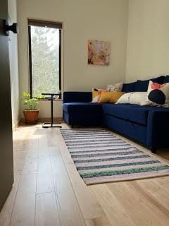 living room with wood finished floors