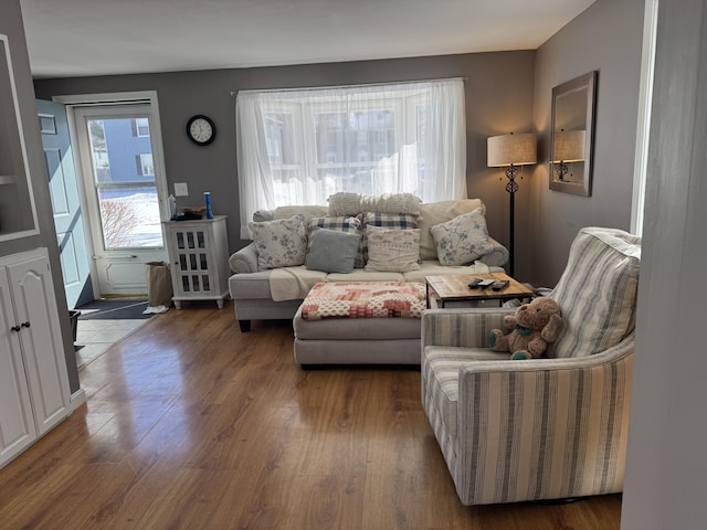 living room with wood finished floors