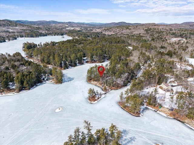 aerial view with a mountain view and a forest view