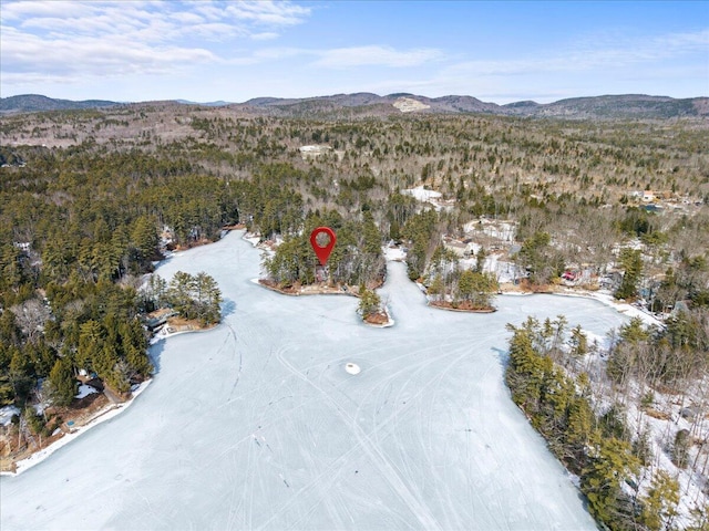 bird's eye view featuring a wooded view and a mountain view