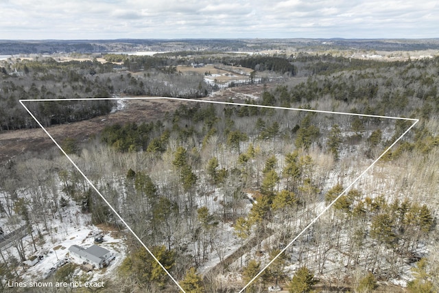 bird's eye view with a forest view