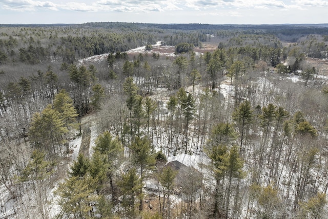 bird's eye view with a wooded view