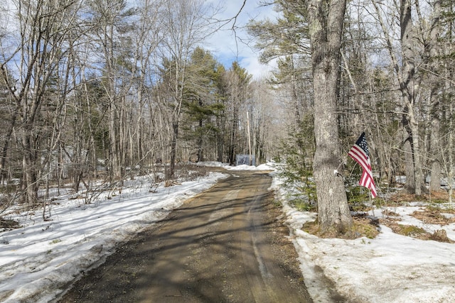 view of road with a wooded view