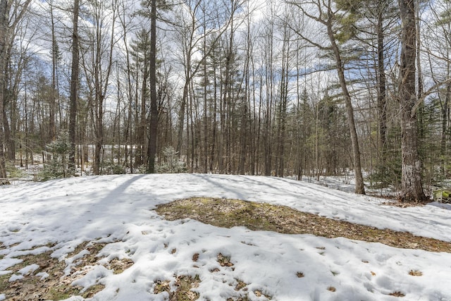 view of yard featuring a wooded view