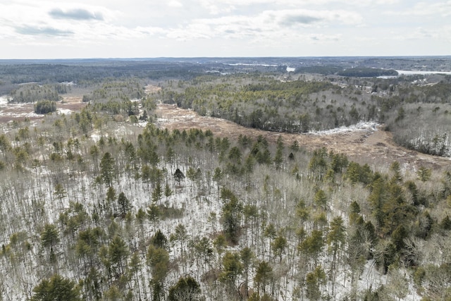 birds eye view of property featuring a forest view