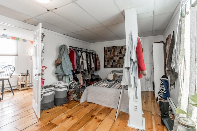 walk in closet with a baseboard radiator, wood-type flooring, and a drop ceiling