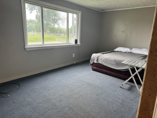 32 Maple St, Fairfield, ME 04937 - bedroom featuring carpet flooring, multiple windows, and a textured ceiling