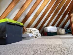 view of unfinished attic