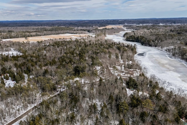 birds eye view of property with a forest view