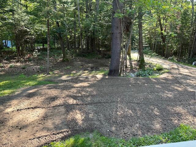 view of yard featuring a forest view