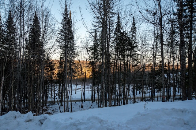 view of snowy yard