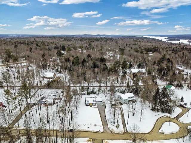 snowy aerial view with a wooded view