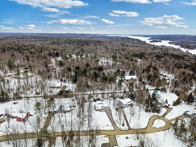 snowy aerial view with a mountain view and a view of trees