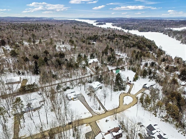 snowy aerial view featuring a mountain view and a view of trees