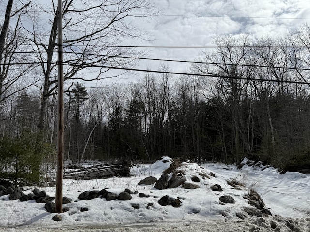 view of snow covered land featuring a wooded view