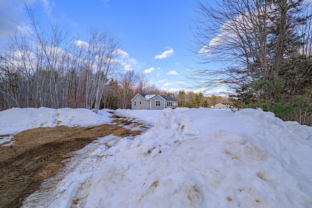 view of yard layered in snow