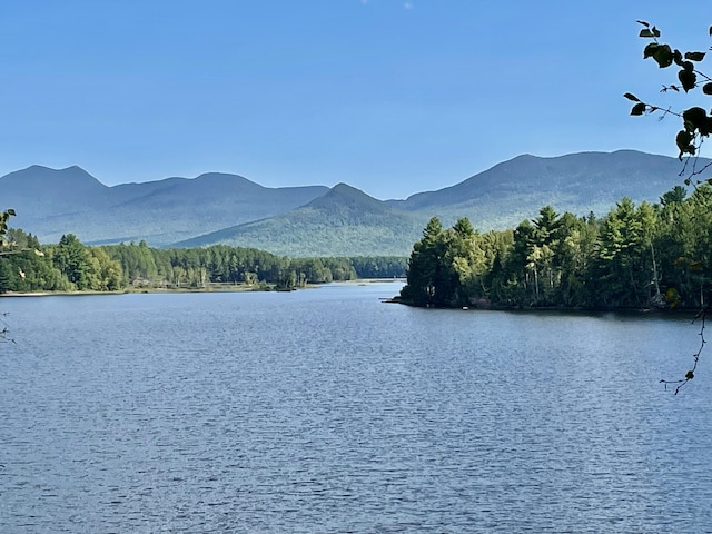 water view featuring a mountain view and a view of trees