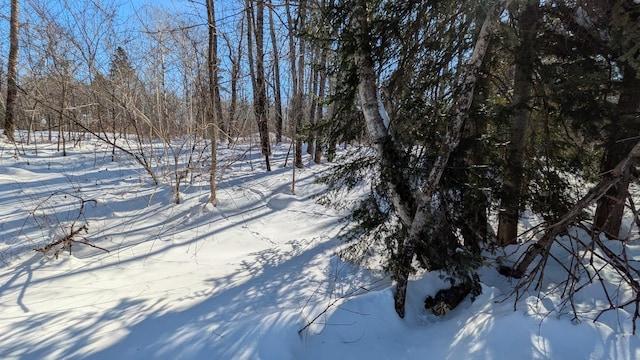 view of yard layered in snow